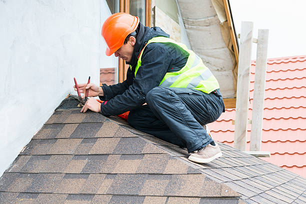 Best Roof Gutter Cleaning  in New Berlin, IL